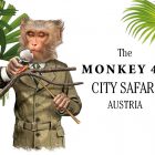 teaser-bild_monkey47