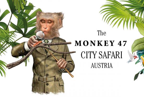 teaser-bild_monkey47