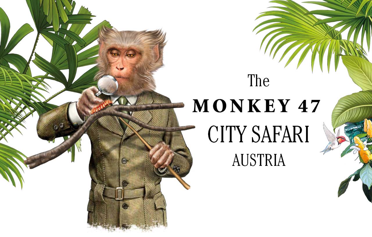 Monkey47 City Safari