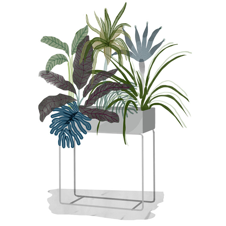 PLANT-BOX_original_resort-conceptstore