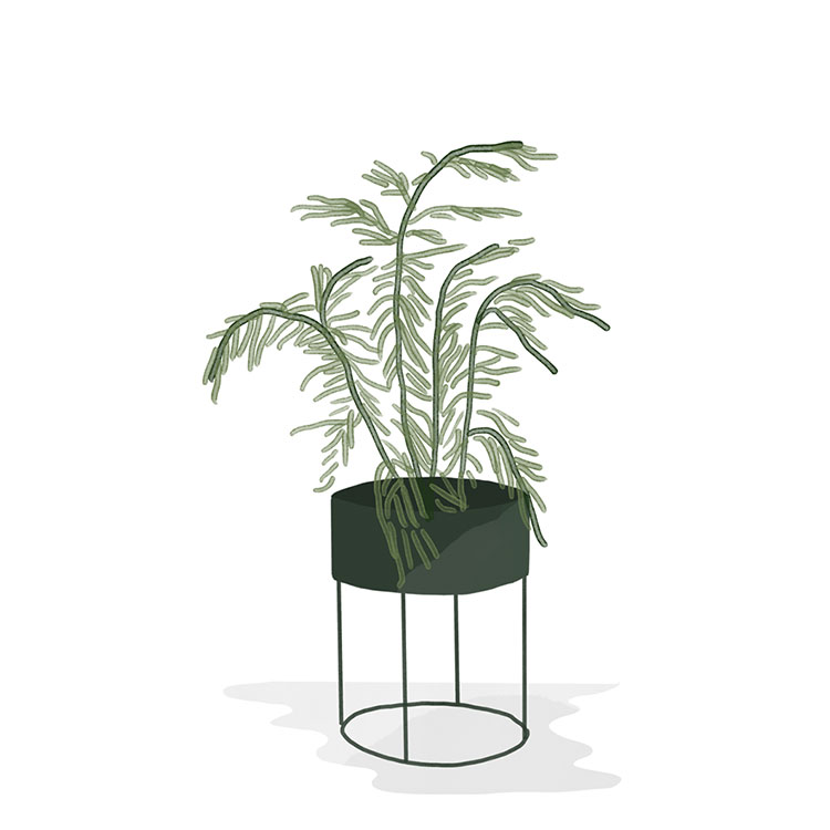 PLANT-BOX_round_resort-conceptstore