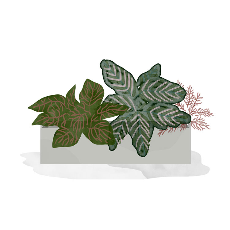 PLANT-BOX_small_resort-conceptstore