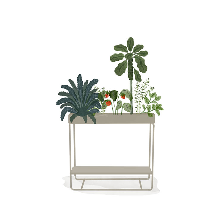 PLANT-BOX_twotier_resort-conceptstore