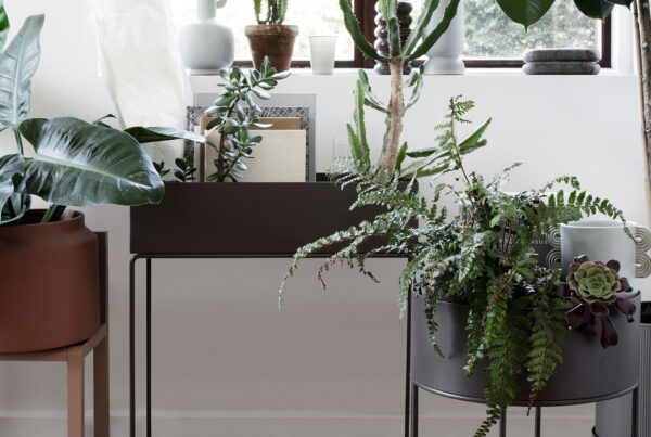 fermLIVING_plant-box_header_resort-conceptstore_2400-1200