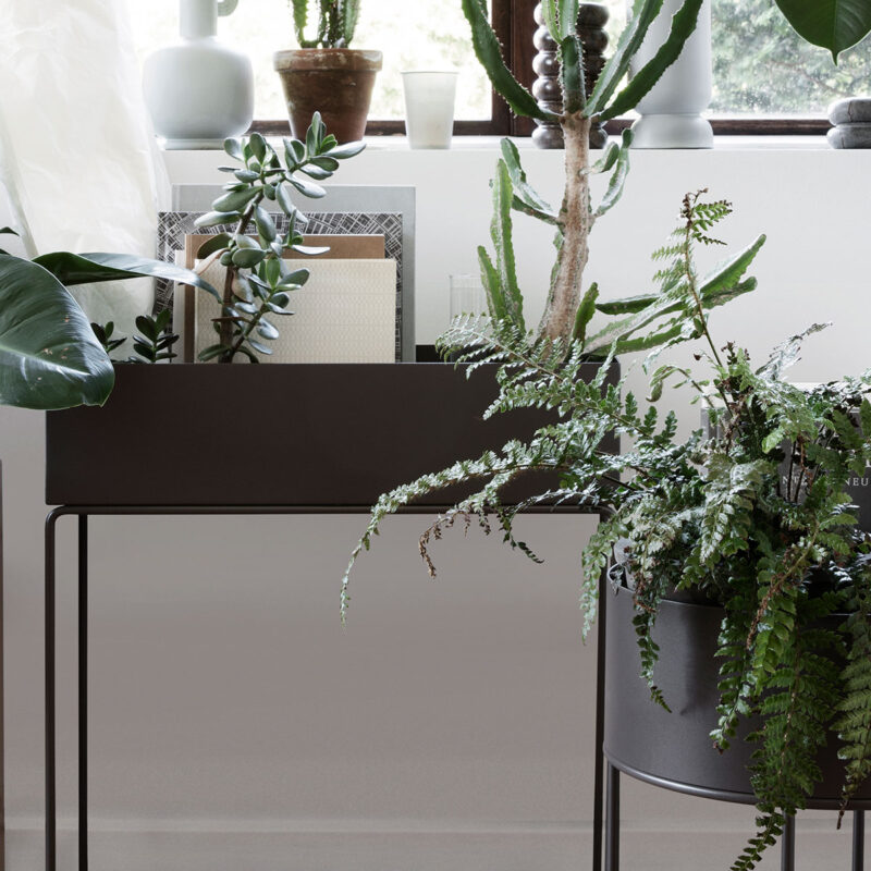 fermLIVING_plant-box_header_resort-conceptstore_2400-1200