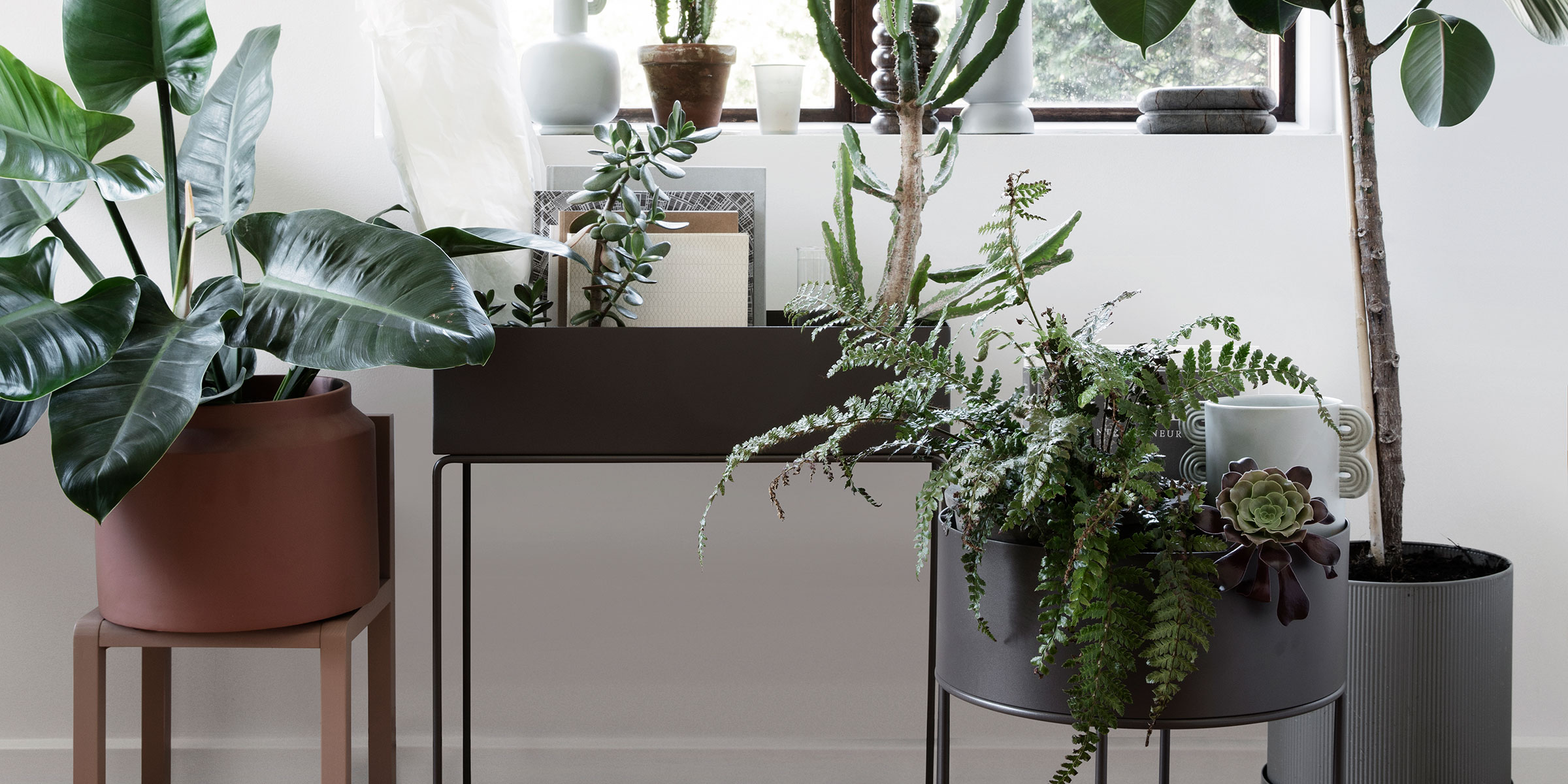 Die vielseitige Plant Box von ferm LIVING