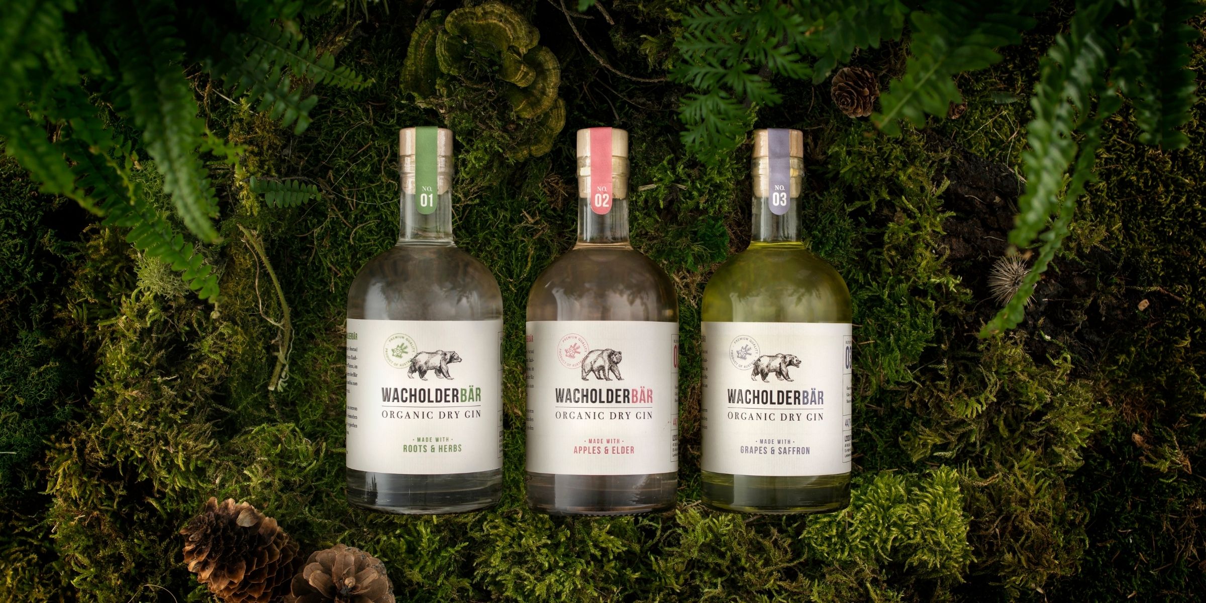 Bio Wacholderbär Tasting