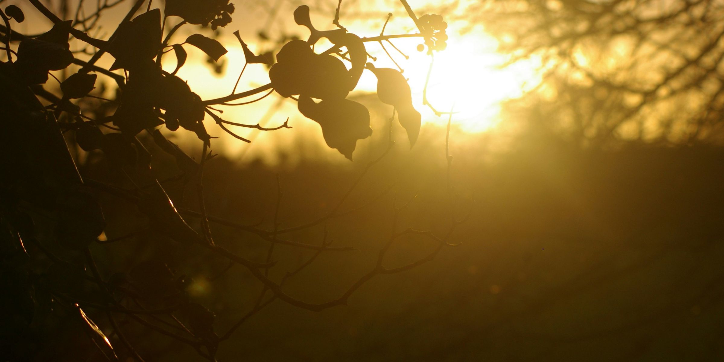Leuchtender Herbst